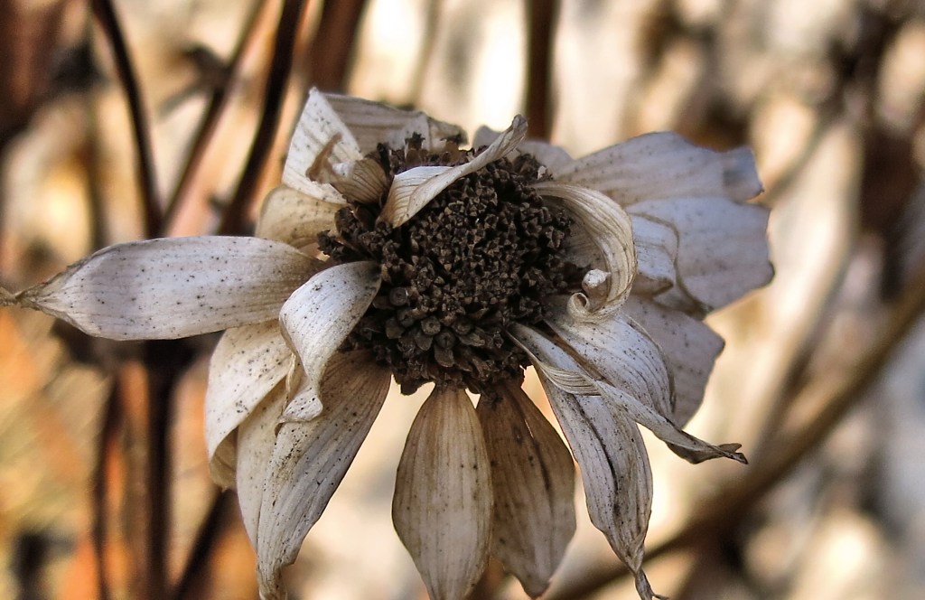 Everything is too perfect nowadays, embrace&nbsp;imperfection!